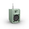 ANNY® 8 BPH B6 GN - Enceinte Bluetooth® portable sur batterie avec mixeur intégré et micro/casque sans fil (émetteur de poche), Adventure Green