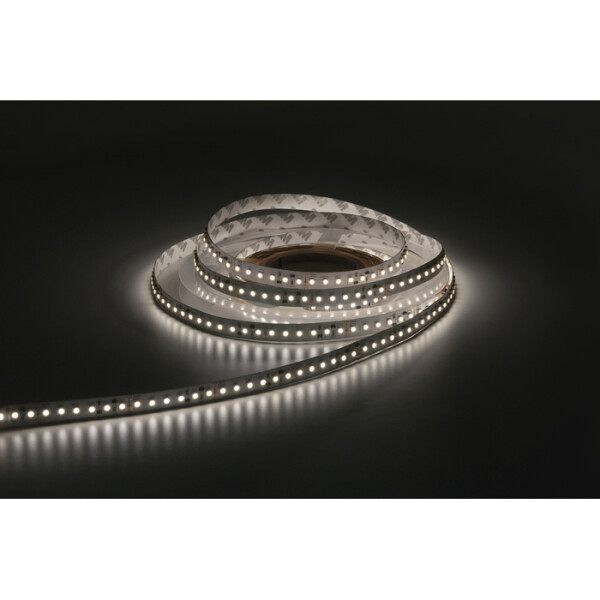 Santiago Ribbon 3528 - 120 - CCT