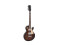 LP-700 E-Guitar, flamed brown