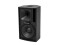 CT12V 2-way Fullrange Loudspeaker