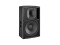 CT15 G3 2-way Fullrange Loudspeaker