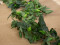Hop Garland, artificial, 170cm