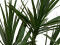 Dracaena, artificial plant, green, 170cm
