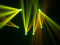 LED TMH-B120 Hypno Moving Head Beam