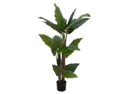 Taro Alocasia, artificial plant, 140cm