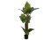 Taro Alocasia, artificial plant, 140cm