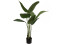 Strelitzia, artificial plant, 110cm