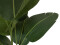 Strelitzia, artificial plant, 110cm
