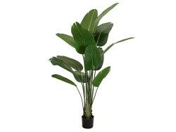 Strelitzia, artificial plant, 170cm