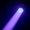 EVOS® W7 - LED Wash-Moving Head