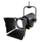 F4 D PO IP - Stangenbedienbares IP65 Fresnel Spotlight mit Daylight-LED