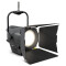 F4 T PO IP - Stangenbedienbares IP65 Fresnel Spotlight mit Tungsten-LED