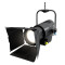 F4 T PO IP - Stangenbedienbares IP65 Fresnel Spotlight mit Tungsten-LED