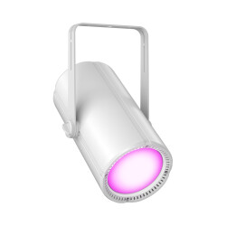 H1 FC WH - DMX-steuerbares Houselight mit RGBAL-LED...