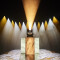 OTOS® SP6 - IP65 Spot Profile Moving Head
