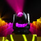 OTOS® SP6 - IP65 Spot Profile Moving Head