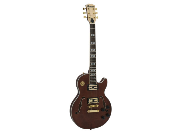 LP-600 Electric Guitar, brown