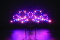 Stage Blinder FLEX Blaze Single Pod 100 W LED Blinder Pod with tungsten and RGB Blaze Effect