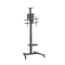 Flatscreen Trolley 9