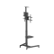 Flatscreen Trolley 9