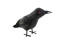 Halloween Raven, 18cm