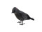 Halloween Raven, 18cm