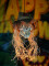 Halloween Scarecrow Skull, 70cm