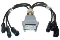 Harting (M) Splitter auf 6xTyp13 Dose 16pol Harting...
