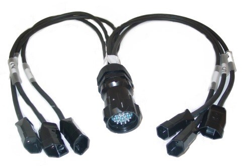 SOCAPEX "Spider" Adapter 19-Pin "Male" zu 6 x Typ-13 "Female" CH-Stecker, 100cm