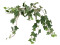 Ivy Bush Tendril, artificial, Class B, s2, d0 low flammability, 60cm