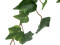 Ivy Bush Tendril, artificial, Class B, s2, d0 low flammability, 60cm