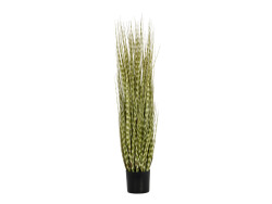Zebra Grass, artificial, Class B, s2, d0 low...
