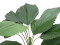 Ruffled Fan Palm, artificial, Class B, s2, d0 low flammability, 140cm