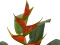 Heliconia, artificial plant, Class B, s2, d0 low flammability, 190cm