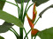 Heliconia, artificial plant, Class B, s2, d0 low flammability, 190cm