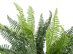 Ruffle Fern, artificial plant, Class B, s2, d0 low...