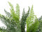 Ruffle Fern, artificial plant, Class B, s2, d0 low flammability, 38cm