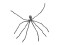 Halloween Giant Spider, grey, 230cm