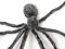 Halloween Giant Spider, grey, 230cm
