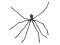 Halloween Giant Spider, grey, 230cm