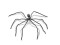 Halloween Giant Spider, grey, 230cm