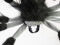 Halloween Rappelling Decorative Spider, animated, 60cm