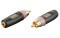 XGA04 - RCA/M to Mini Jack/F