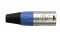 XLR 3p. Connector Male, Nickel housing Blue endcap
