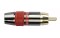 RCA Connector Male, Schwarz, Rote Endkappe