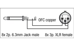 FL61 - 8 XLR/F 3 p. to 8 Jack mono 3 m