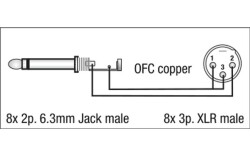 FL62 - 8 XLR/M 3 p. to 8 Jack mono 3 m