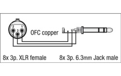 FL67 - 8 XLR/F 3 p. to 8 Jack stereo 3 m
