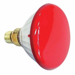 Showtec Par 38 E27 Flood Showtec