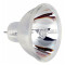 Showtec Projection Bulb EFR GZ6.35 Showtec